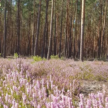 Ferienhaus Bialy Dla 8 Osob Oraz Sternika Dla 4 Osob - Jezioro, Las, Wiejski Klimat *