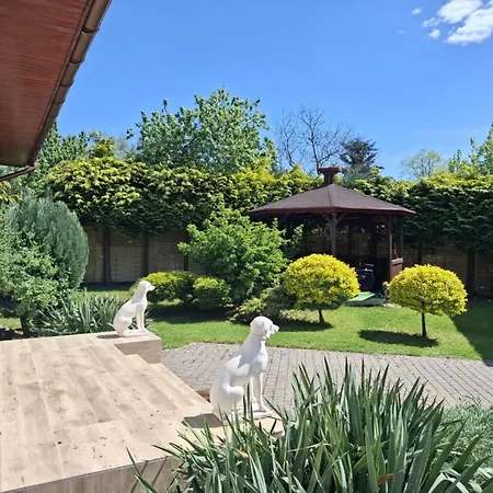 Bialy Dla 6 Osob Oraz Sternika Dla 4 Osob - Jezioro, Las, Wiejski Klimat