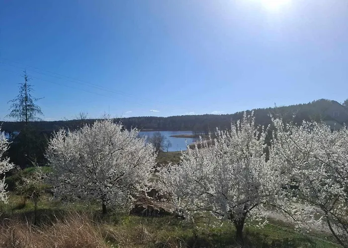 Bialy Dla 6 Osob Oraz Sternika Dla 4 Osob - Jezioro, Las, Wiejski Klimat Casa vacanze *