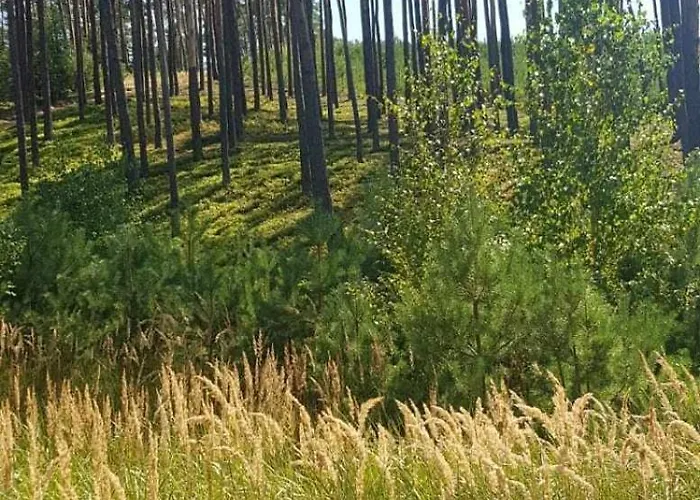 Bialy Dla 6 Osob Oraz Sternika Dla 4 Osob - Jezioro, Las, Wiejski Klimat Miedzychod