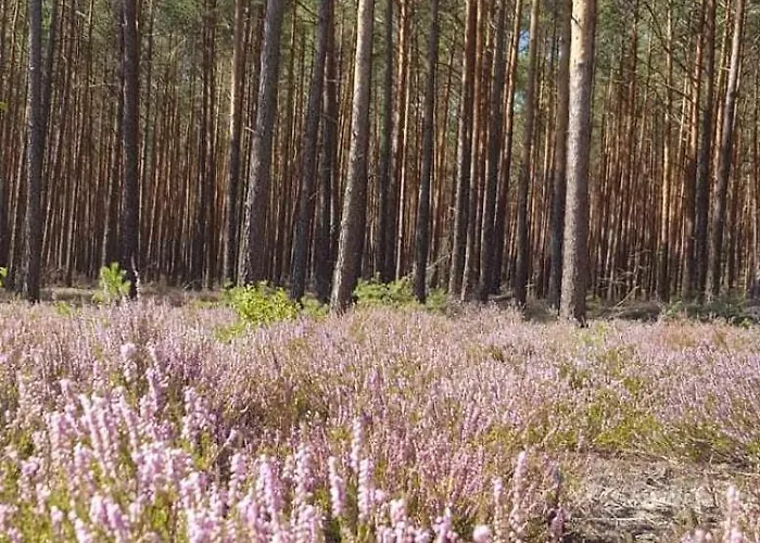 Casa vacanze Bialy Dla 6 Osob Oraz Sternika Dla 4 Osob - Jezioro, Las, Wiejski Klimat *