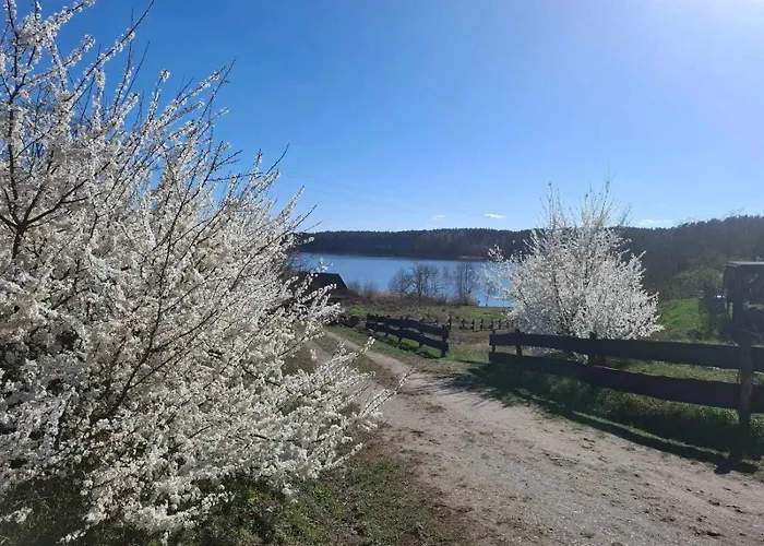 Bialy Dla 6 Osob Oraz Sternika Dla 4 Osob - Jezioro, Las, Wiejski Klimat Casa vacanze Miedzychod